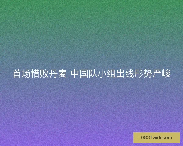 首场惜败丹麦 中国队小组出线形势严峻