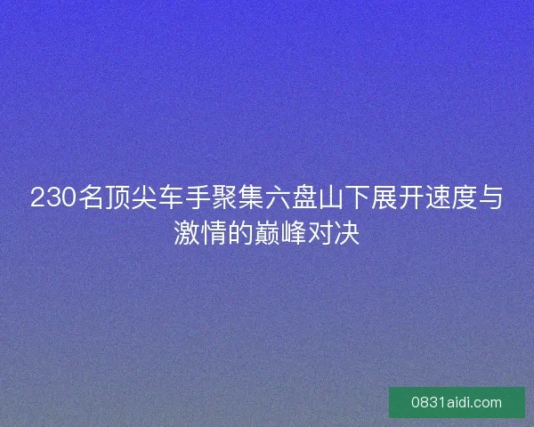 230名顶尖车手聚集六盘山下展开速度与激情的巅峰对决