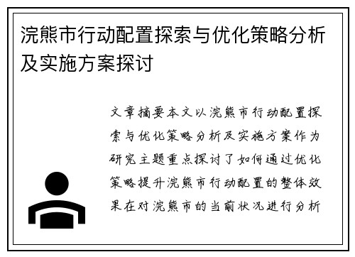浣熊市行动配置探索与优化策略分析及实施方案探讨